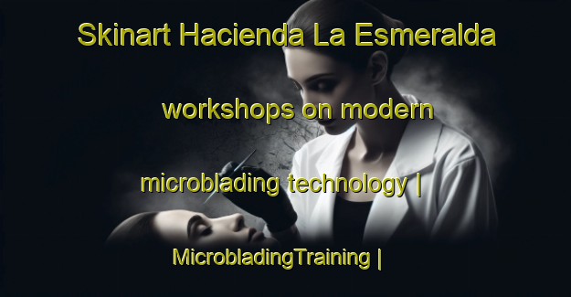 Skinart Hacienda La Esmeralda workshops on modern microblading technology | MicrobladingTraining | MicrobladingClasses | SkinartTraining-Colombia
